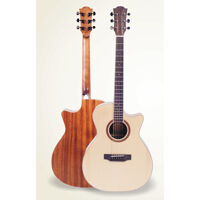 Đàn Guitar Acoustic Valote VA-101W