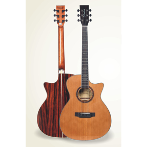 Đàn Guitar Acoustic Valote VA-302W