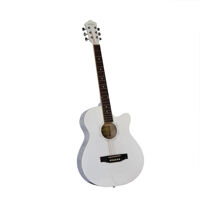 Đàn guitar acoustic Vines 3910WH