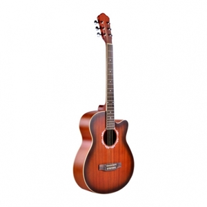 Đàn guitar Acoustic Vines VA-3940MAS