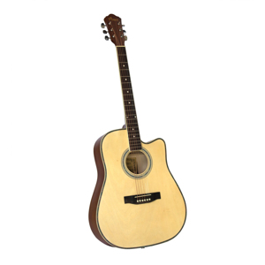 Đàn guitar Acoustic Vines VA-4125N