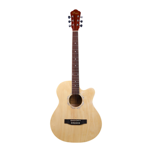 Đàn guitar Acoustic Vines VA3910N