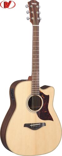 Đàn Guitar Acoustic Yamaha A1R