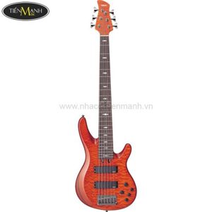 Đàn Guitar Bass Yamaha TRB1006J