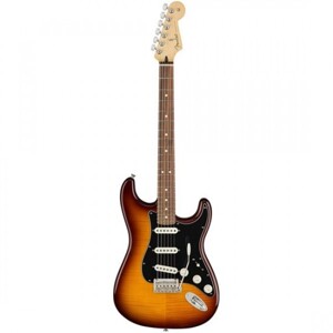 Đàn Guitar điện Fender Player Strat Pls Top Pf Tbs 0144553552