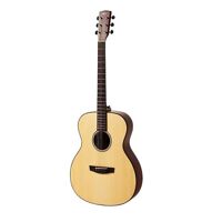 Đàn guitar HEX F100