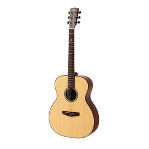 Đàn guitar HEX F300M