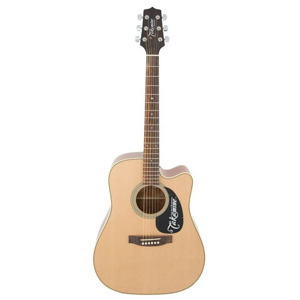 Đàn guitar Takamine D21C