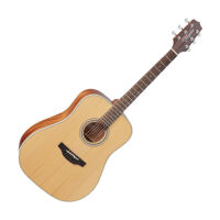 Đàn Guitar Takamine GD20