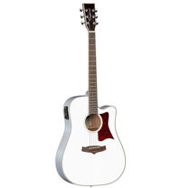 Đàn guitar Tanglewood TW5 Dreadnought