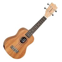 Đàn guitar Tanglewood TWT1