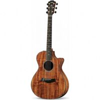 Đàn Guitar Taylor K22CE