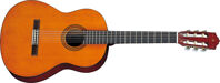 Đàn guitar Valote VA-102F