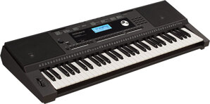 Đàn organ Roland EX20A