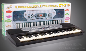 Đàn Organ Xinyun XY-219