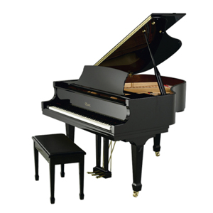 Đàn Piano Brandnew Essex EGP-155R