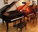 Đàn Piano Brandnew Essex EGP-155T