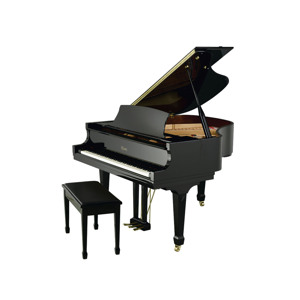 Đàn Piano Brandnew Essex EGP-155C