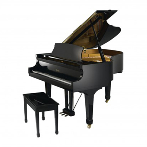 Đàn Piano Brandnew Essex EGP-161C