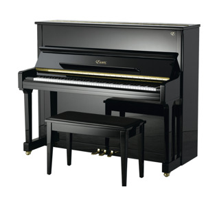 Đàn Piano Brandnew Essex EUP-116E