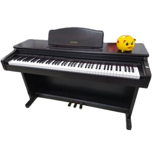 Đàn Piano Columbia EP-2500