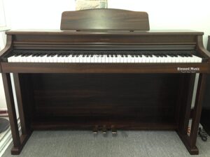 Đàn Piano Columbia EP 3600