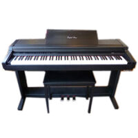 Đàn Piano Điện Kawai PW-300