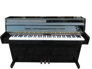 Đàn piano điện Kawai RP400