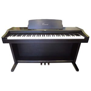 Đàn piano điện Korg C-550