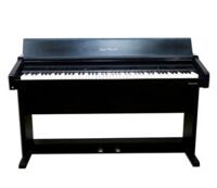 Đàn piano điện Technics SX PR200