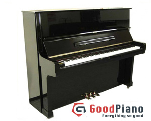 Đàn Piano Earl Windsor W112