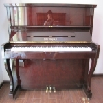 Đàn Piano Earl Windsor W113