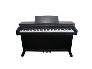 Đàn Piano Kawai PN250