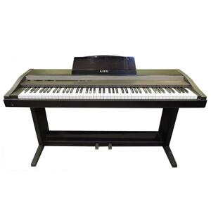 Đàn Piano Kawai PW250