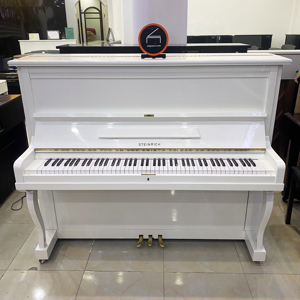 Đàn piano Steinrich S10