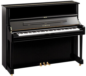 Đàn piano Yamaha U2 D