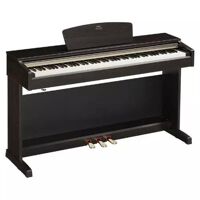 Đàn Piano Yamaha YDP 160R