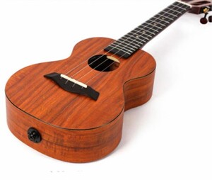 Đàn Ukulele Enya Concert EUC-X1