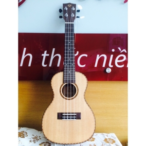 Đàn Ukulele VALOTE VA-24M02