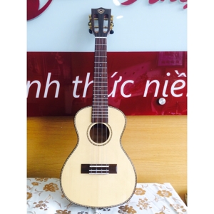 Đàn Ukulele VALOTE VA-24R01