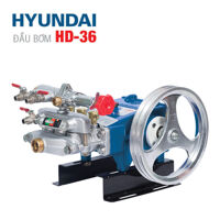 Đầu bơm Hyundai  HD-36