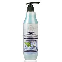 Dầu Gội R&B Bạc Hà 350Ml