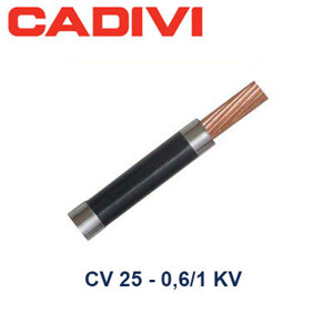 Dây điện đơn CU/PVC 0,6/1kV Cadivi CV-25