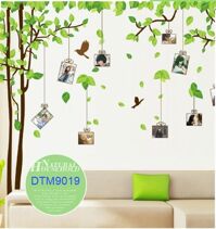 Decal dán tường hình cây xanh có khung dán ảnh DTM9019