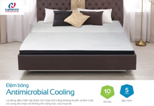 Đệm bông ép Antimicrobial Cooling Hanvico