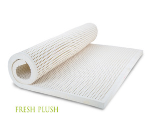 Đệm cao su Vạn Thành FRESH PLUSH