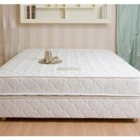 Đệm Divan Dunlopillo Supreme ND0057 - 200x160x28 cm