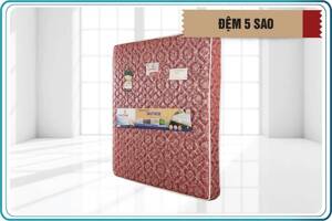 Đệm lò xo 5 Sao Everhome 1m2xm9x22cm