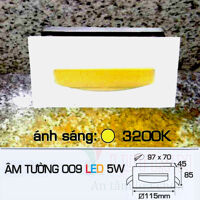 Đèn âm tường AFC-009-5W