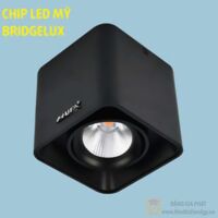 Đèn downlight âm trần LN- 28 10W